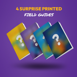 Tier 5: The Champion